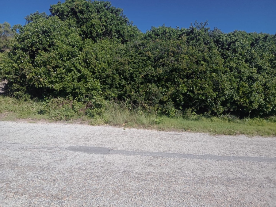 Commercial Property for Sale in Paradise Beach Eastern Cape